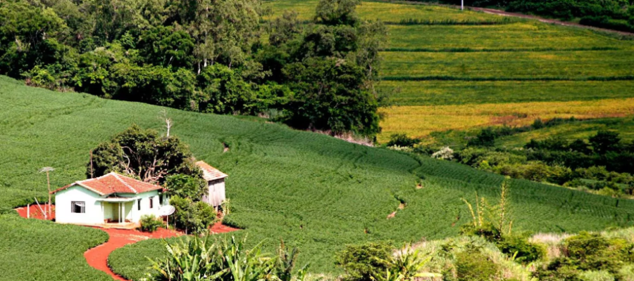 População rural diminui mais de 8% nos últimos 15 anos em Alpinópolis
