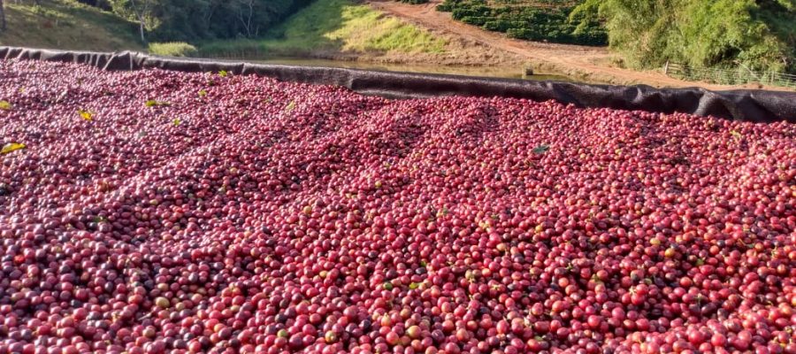 Alpinópolis está na lista oficial da ‘Rota do Café’, declarada monumento nacional