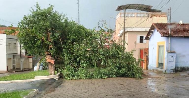 Chuva forte derruba árvores e destelha casas em Alpinópolis
