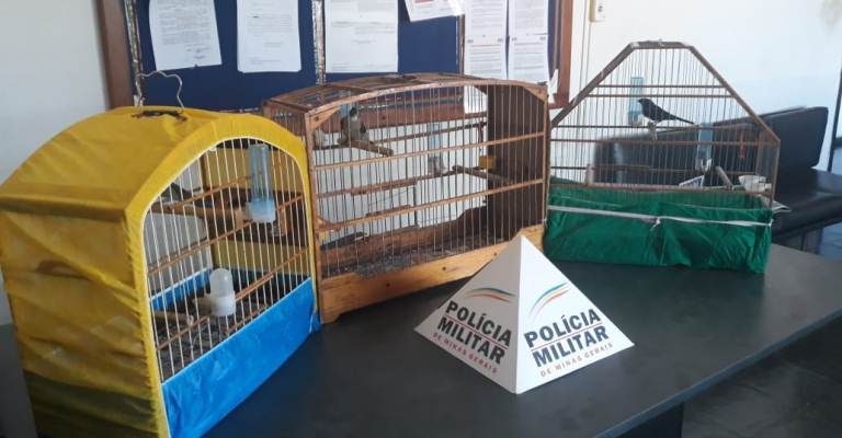 PM prende suspeitos de tráfico e crime ambiental em Alpinópolis