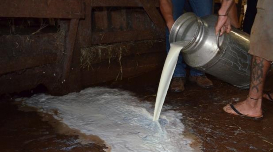 Produtores de Alpinópolis descartam mais de 150 mil litros de leite em função da greve