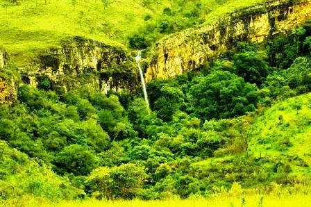 ECÓTONO: O NOTÁVEL TESOURO AMBIENTAL ALPINOPOLENSE
